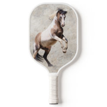 Voyageur de Cheval sauvage