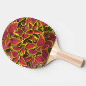 Raquette de ping pong à fleur de coléus rouge (Côté)