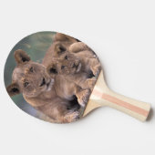 Raquette De Ping Pong Afrique, Botswana, delta de l'Okavango. Lions (Côté)