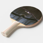 Raquette De Ping Pong Aigle de Bald en vol (Devant Angle)