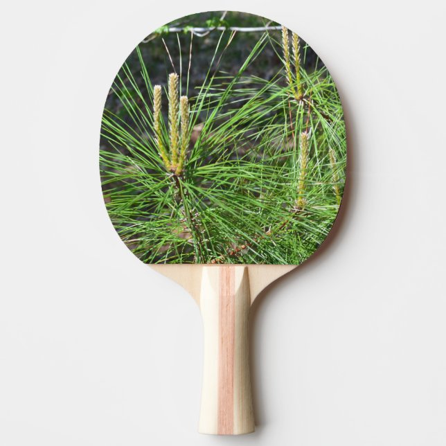 Raquette De Ping Pong Aiguilles de pin par Kenneth Yoncich (Devant)