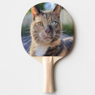 Raquette De Ping Pong Ajouter une Personnaliser photo de chat