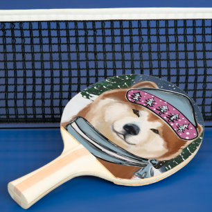 RAQUETTE DE PING PONG AKITA