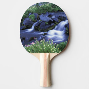Raquette De Ping Pong Amérique du Nord, États-Unis, Washington, Mont Rai