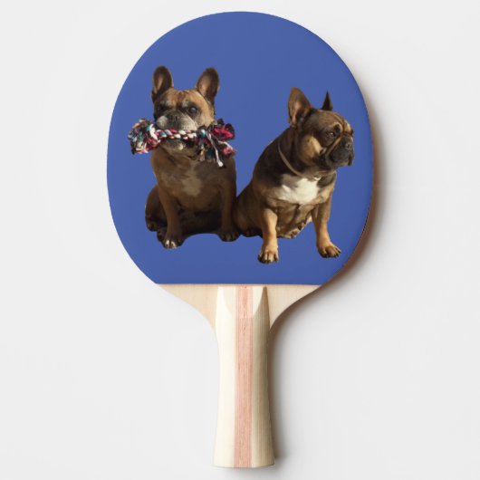 Raquette De Ping Pong Amitié bouledogues français (Devant)