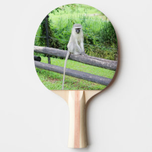 Raquette De Ping Pong Animal Singe Sauvage