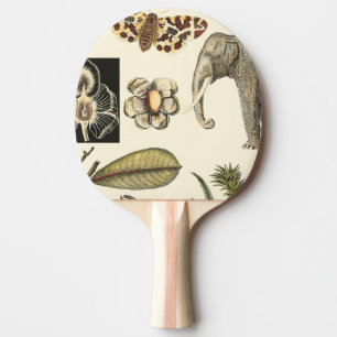 Raquette De Ping Pong Animaux assortis peints sur l'arrière - plan crème