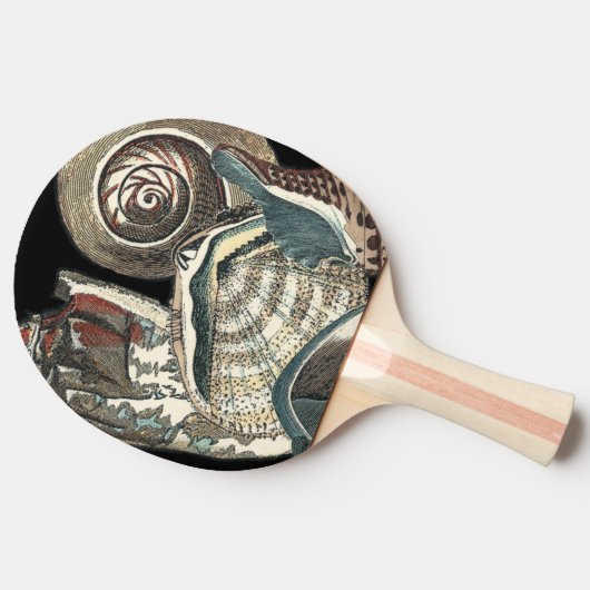Raquette De Ping Pong Anthologie des coquillages (Côté)