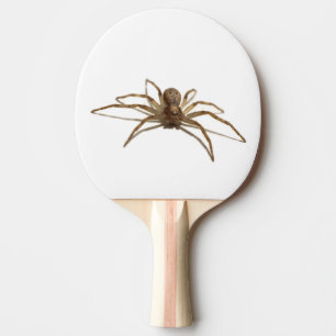 Raquette De Ping Pong Araignée