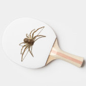 Raquette De Ping Pong Araignée (Côté)