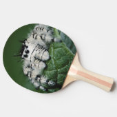 Raquette De Ping Pong Araignée sautante de Metaphid (Côté)