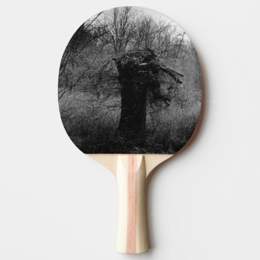Raquette De Ping Pong Arbre ancien (Devant)