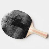 Raquette De Ping Pong Arbre ancien (Côté)