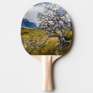 Raquette De Ping Pong Arbre brûlé, Torres del Paine, Chili