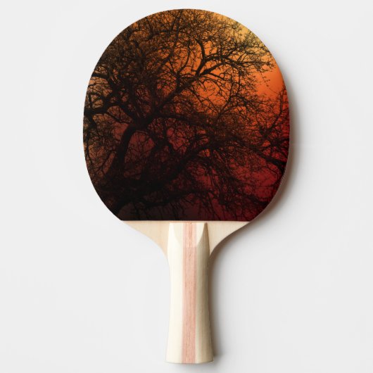 Raquette De Ping Pong Arbre d'hiver Silhouette (Devant)