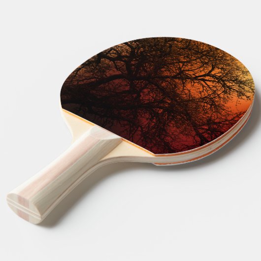 Raquette De Ping Pong Arbre d'hiver Silhouette (Devant Angle)