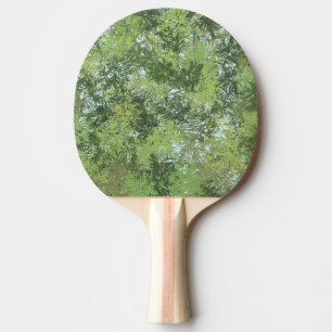 Raquette De Ping Pong Arbres à feuilles vertes avec ciel bleu apparaissa