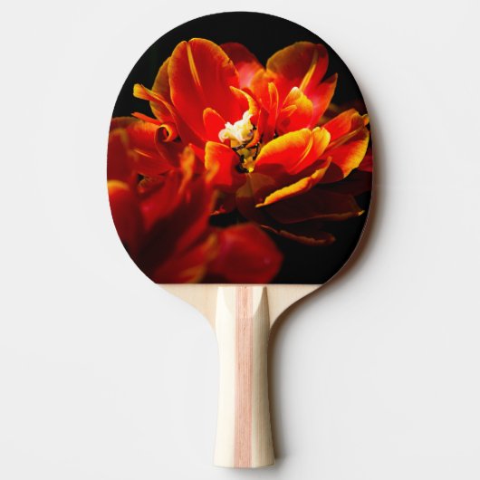 Raquette De Ping Pong Arrière - plan rouge tulipes foncé (Dos)