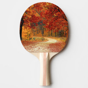 Raquette De Ping Pong automne dans la forêt