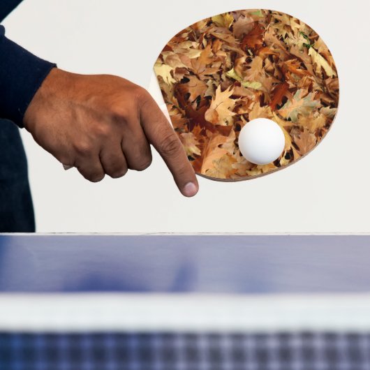 Raquette De Ping Pong automne, feuille sec (Insitu)