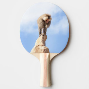 Raquette De Ping Pong Babouin singe au sommet d'une montagne
