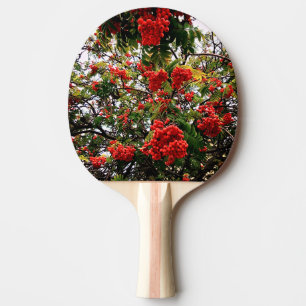 Raquette De Ping Pong Baies rouges