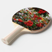Raquette De Ping Pong Baies rouges (Devant Angle)