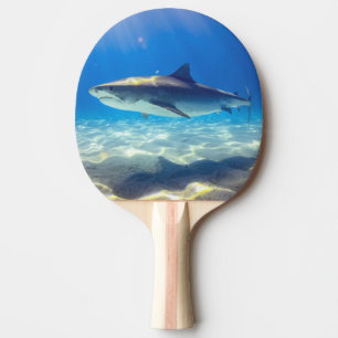 Raquette De Ping Pong Baignade de requins Eau bleu de l'océan