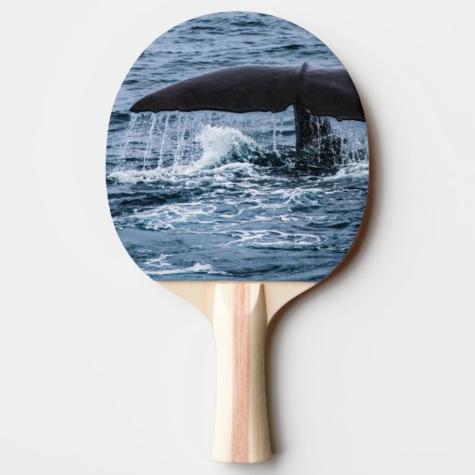 Raquette De Ping Pong Baleine de Sperm (Dos)