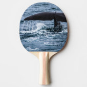 Raquette De Ping Pong Baleine de Sperm (Devant)