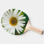 Raquette De Ping Pong Basière oculaire blanche - Leucanthemum vulgare (Côté)