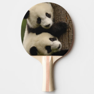 Raquette De Ping Pong Bébés de panda géant (melanoleuca d'Ailuropoda)