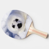 Raquette De Ping Pong Bécasseau glacé du golfe du Saint-Laurent, (Côté)