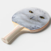Raquette De Ping Pong Belle, Dreamy et Serene Snowy Owl (Devant Angle)