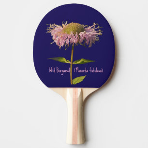 Raquette De Ping Pong Bergamote sauvage (Monarda fistulosa)