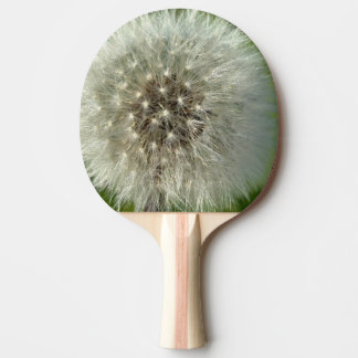Raquette De Ping Pong Big White Dandelion