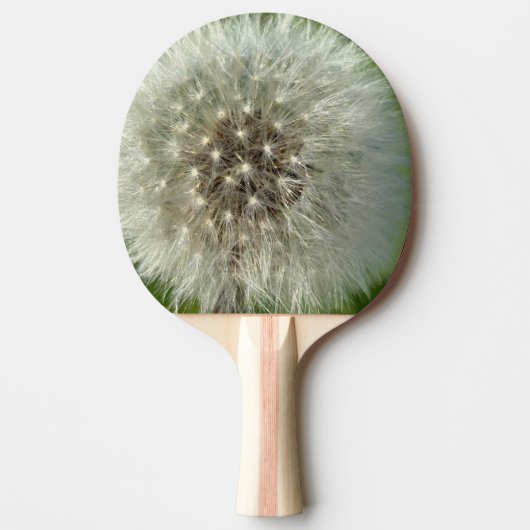 Raquette De Ping Pong Big White Dandelion (Devant)