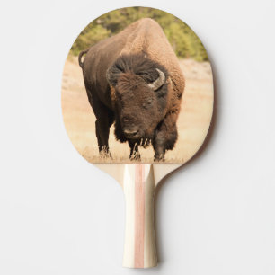 Raquette De Ping Pong Bison