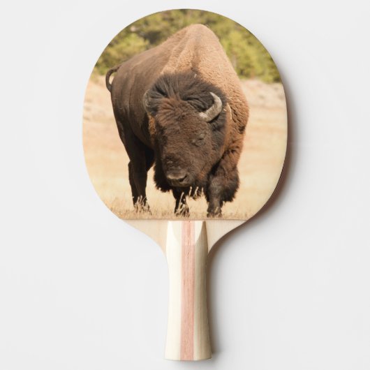 Raquette De Ping Pong Bison (Devant)