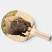 Raquette De Ping Pong Bison (Côté)