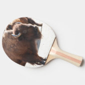 Raquette De Ping Pong Bison (Côté)