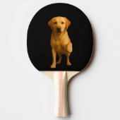 Raquette de ping pong Black 4 Luxe, Labrador tendr (Dos)