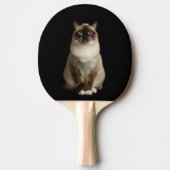 Raquette De Ping Pong Black 4 Luxe ping pong paddle, Birmanese Cat (Devant)