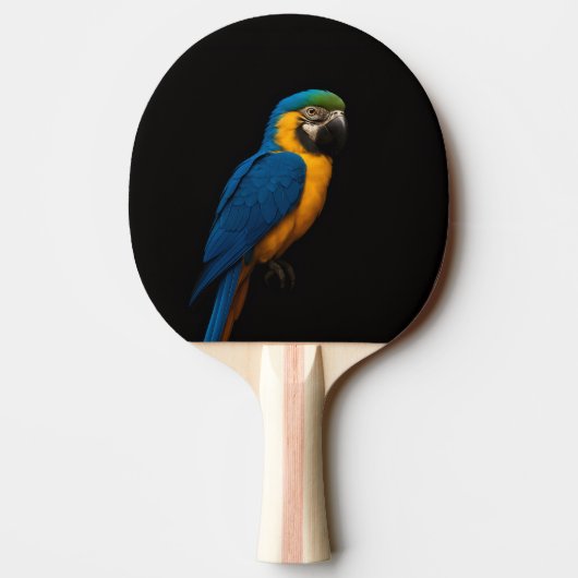 Raquette De Ping Pong Black 4 Luxe ping pong paddle, Blue Yellow Macaw (Dos)