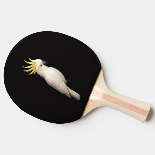Raquette De Ping Pong Black 4 Luxe ping pong paddle, Crested Cockatoo (Côté)