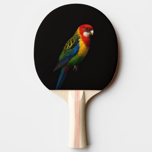Raquette De Ping Pong Black 4 Luxe ping pong paddle, Eastern Rosella (Dos)