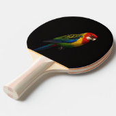 Raquette De Ping Pong Black 4 Luxe ping pong paddle, Eastern Rosella (Devant Angle)