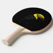 Raquette De Ping Pong Black 4 Luxe ping pong paddle, Keel Billed Tucan (Devant Angle)