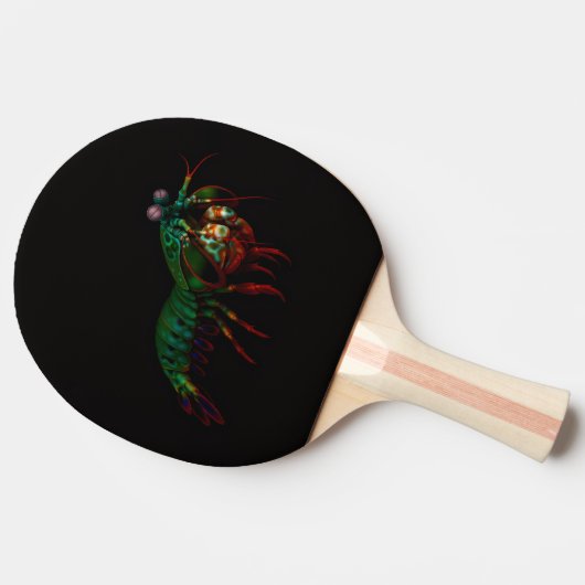 Raquette De Ping Pong Black 4 Luxe ping pong paddle, Mantis Shrimp (Côté)