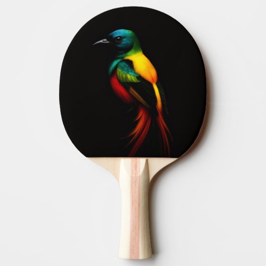 Raquette De Ping Pong Black 4 Luxe ping pong paddle, Rainbow Bird (Dos)